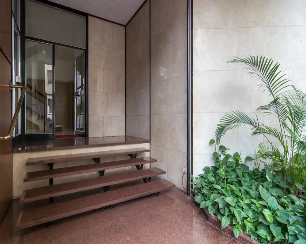 Ingresso ben illuminato con gradini in pietra lucida e un angolo verde che crea una prima impressione accogliente.