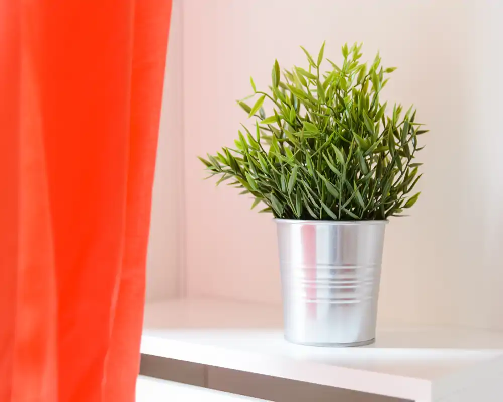 Planta en maceta decorativa en primer plano sobre una estantería blanca junto a una cortina roja; la imagen se centra en el detalle y no en una habitación determinada.