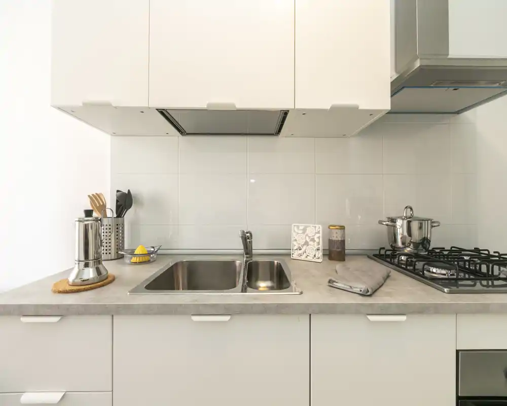 Cuisine moderne et compacte avec évier double en acier inoxydable, plaque de cuisson à gaz et quelques éléments décoratifs ; lumineuse, propre et prête à l'emploi.
