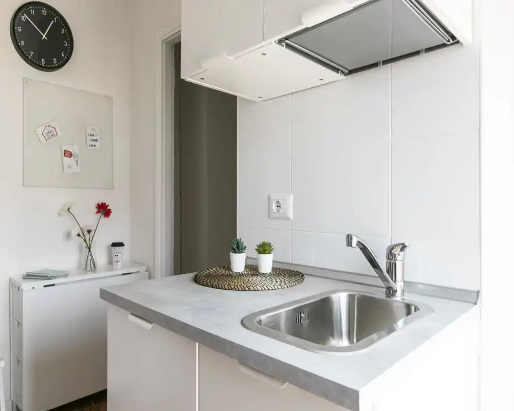 Angolo cottura compatto e moderno con lavello in acciaio inox, cappa aspirante e piano d'appoggio ordinato decorato con piccole piante e un sottopiatto intrecciato.