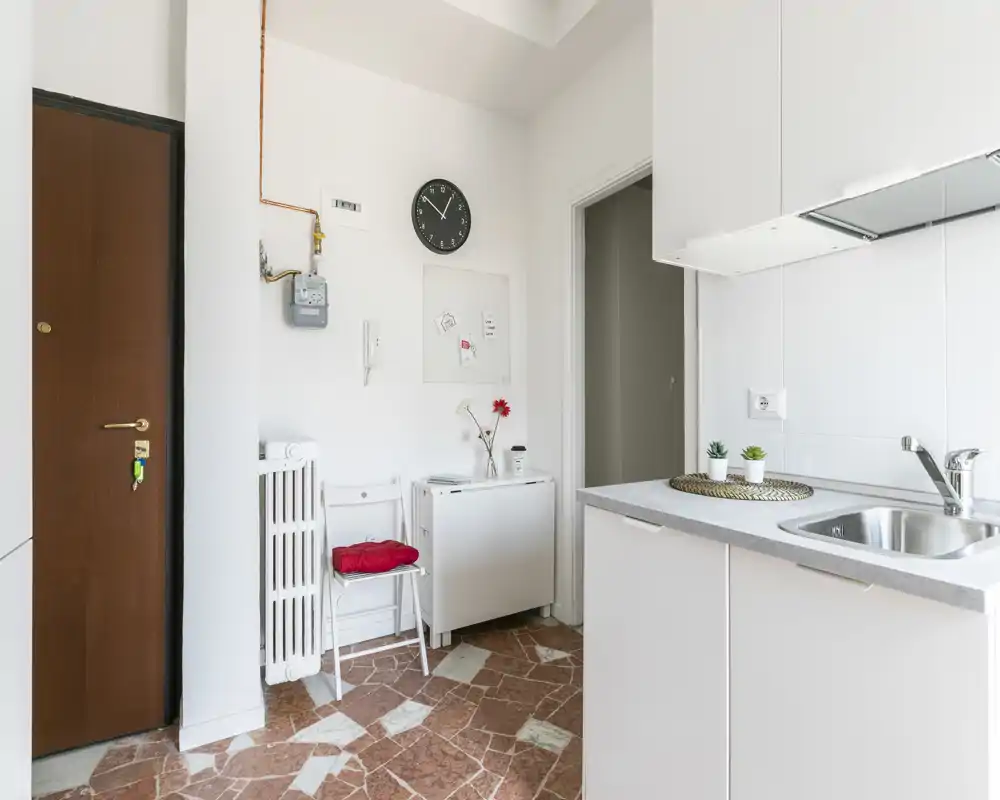 Angolo cottura compatto e moderno con mobili bianchi, lavello in acciaio e piccole piante decorative. Zona d'ingresso luminosa e ordinata, adatta a un monolocale.