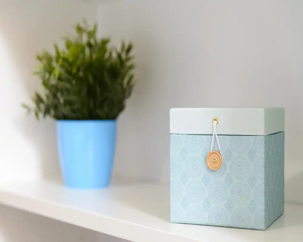 Close-up of decorative items on a shelf: a patterned storage box and a small potted plant, suitable to illustrate styling details or accessories.