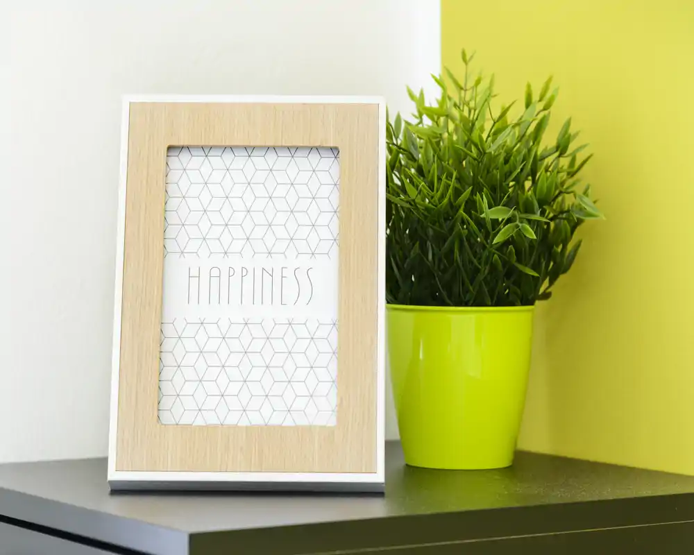 Primo piano di una cornice decorativa con la scritta "HAPPINESS" e una piccola pianta in vaso su una superficie; non è evidente il contesto della stanza.