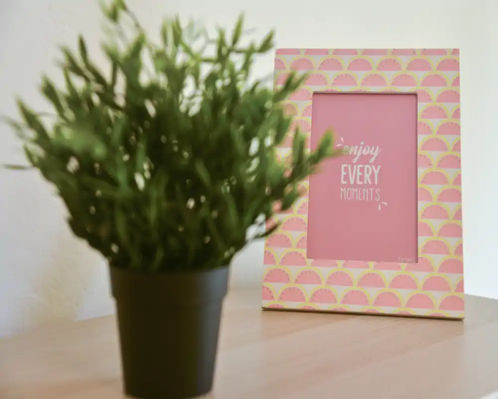 Gros plan d'une mise en scène sur table : une plante en pot au premier plan et un cadre photo rose à motifs à l'arrière portant l'inscription « Enjoy every moments ». Fond doux et surface en bois, image décorative qui ne permet pas d'identifier une pièce précise.