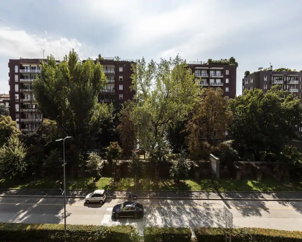 Vista exterior a la calle con árboles maduros y coches aparcados; útil para mostrar la fachada del edificio y el entorno ajardinado.