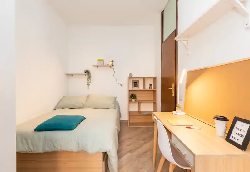 Camera da letto singola luminosa e ben allestita con letto comodo, scrivania integrata e mensole — ideale per studenti o lavoratori. Biancheria morbida, lampada da tavolo e piante rendono l’ambiente accogliente.
