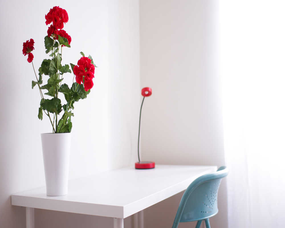 Single room Milano, 6 beds, 18.7m² — photo 16