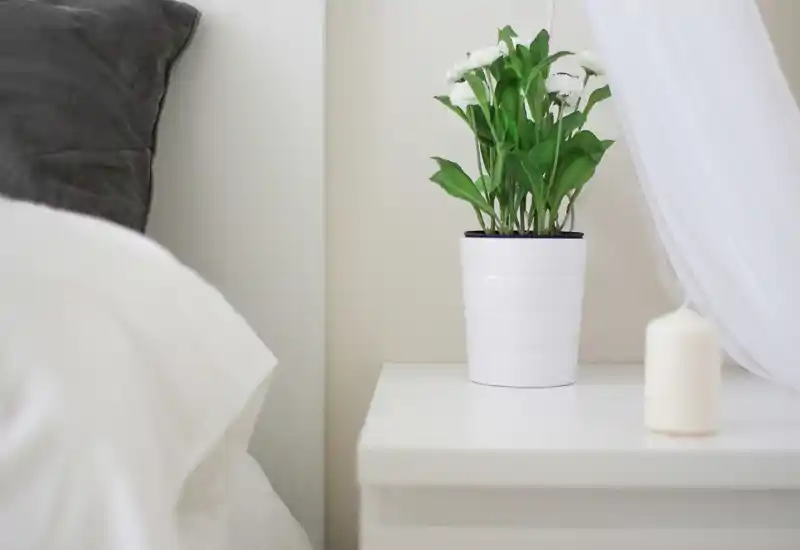 Bright, minimal bedroom corner with white bedding, a grey pillow and a potted plant on a nightstand for a calm, Scandinavian-style look.