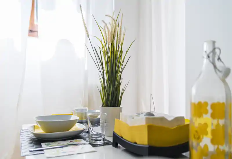 Angolo pranzo luminoso e curato con tavola apparecchiata, bicchieri e una pianta decorativa che crea un'atmosfera fresca e accogliente.