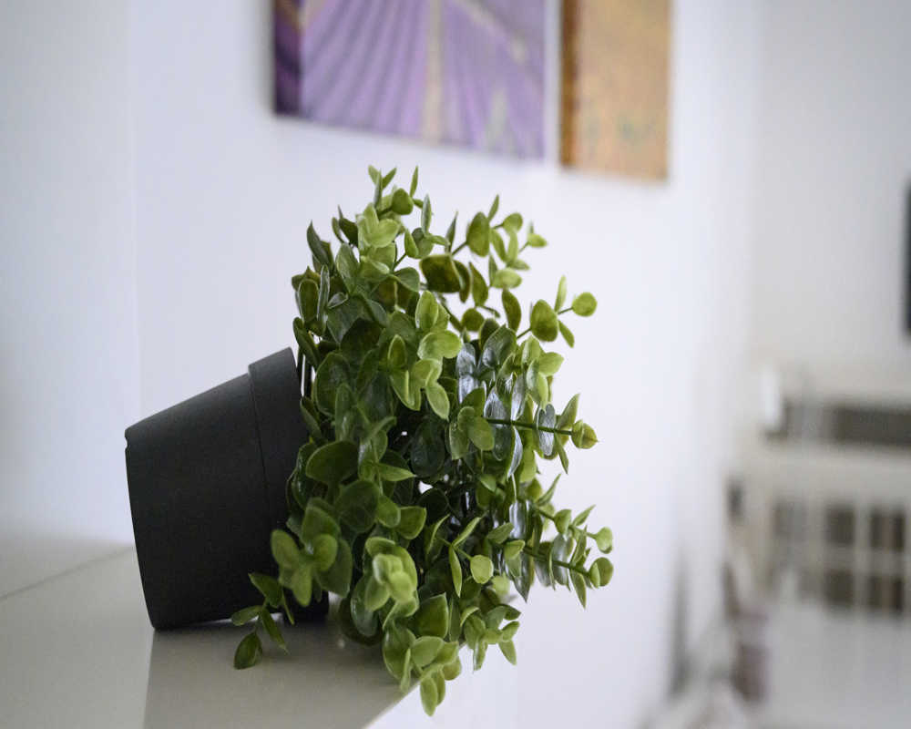 Chambre simple Milano, 6 chambres, 15,46m² — photo 28