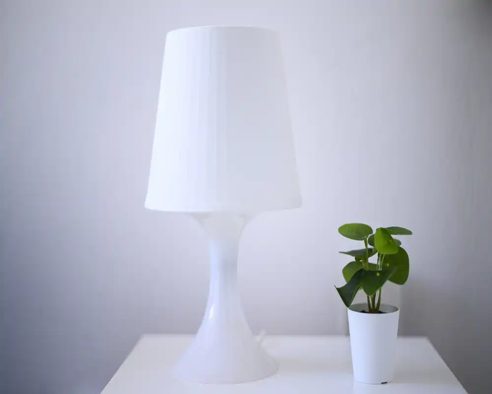 Foto minimale di nature morte con una lampada da tavolo bianca e una piccola pianta in vaso su una superficie pulita; sfondo neutro e luce morbida.