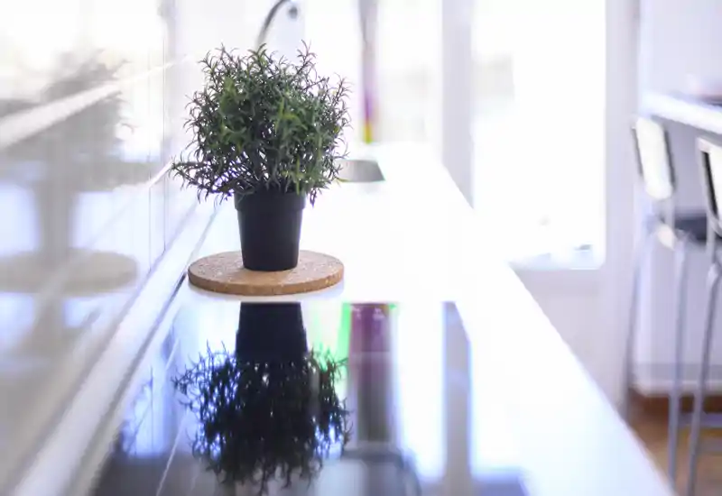 Piano cucina moderno e luminoso con una piccola pianta in vaso e un piano cottura riflettente; luce naturale e arredo minimal e di stile.