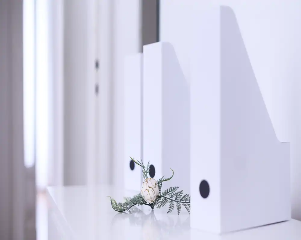 Close-up of white vertical file holders on a glossy surface with a small decorative sprig in front; the shot focuses on storage accessories rather than a specific room.