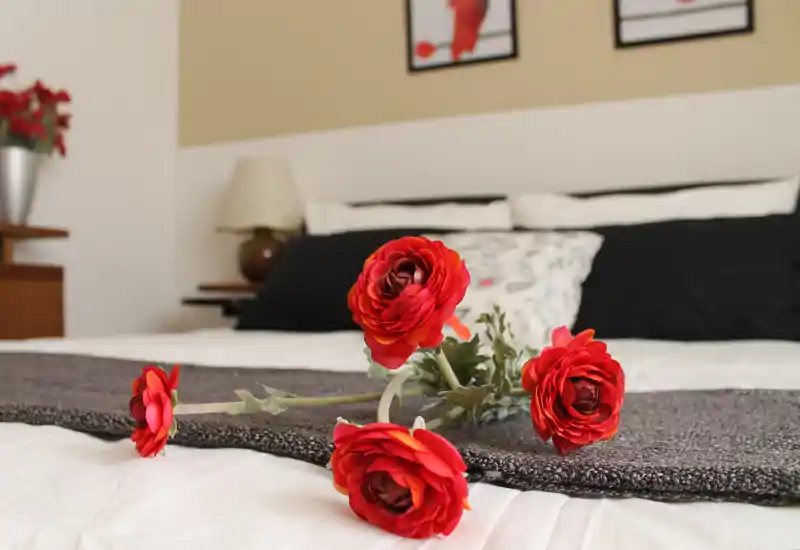 Camera da letto luminosa e ben arredata con letto ben fatto, cuscini decorativi e un plaid testurizzato; fiori rossi sul letto che donano un tocco accogliente e romantico.