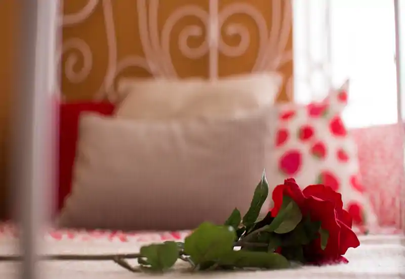 Dormitorio acogedor con cabecero de hierro decorativo, cojines estampados y una rosa roja en la cama; estilo cálido con luz natural suave.