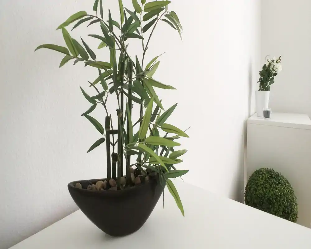 Detalle interior minimalista con una maceta de mesa con tallos tipo bambú y una bola decorativa verde junto a un mueble blanco; la imagen se centra en la decoración y no en una habitación concreta.