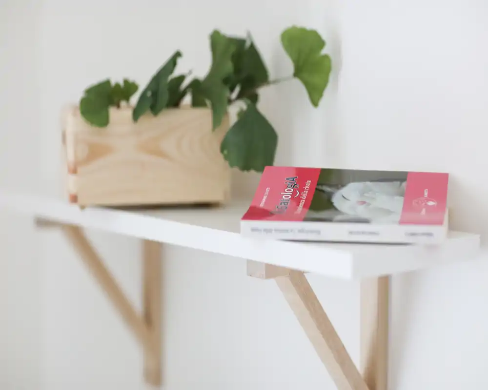 Estante de pared minimalista con una maceta de madera y un libro, fotografiado con luz natural suave; imagen perfecta para la decoración de un recibidor o pasillo.