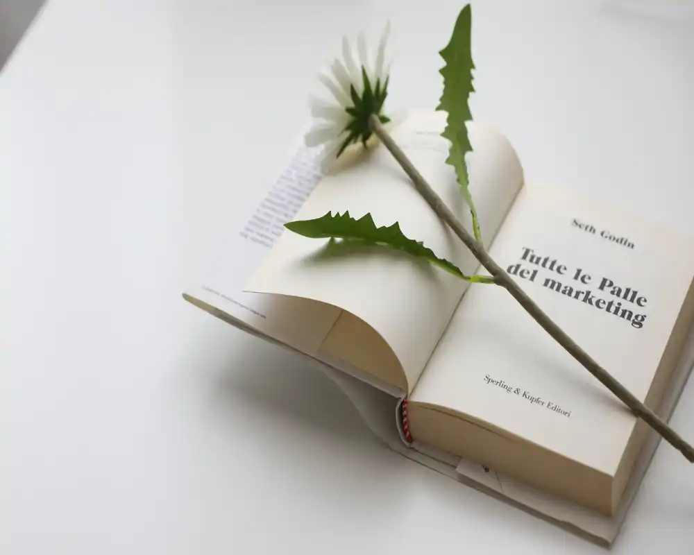 Primer plano de un libro abierto con una flor de tallo largo sobre sus páginas en una superficie blanca y limpia; composición minimalista y naturaleza muerta estilizada.