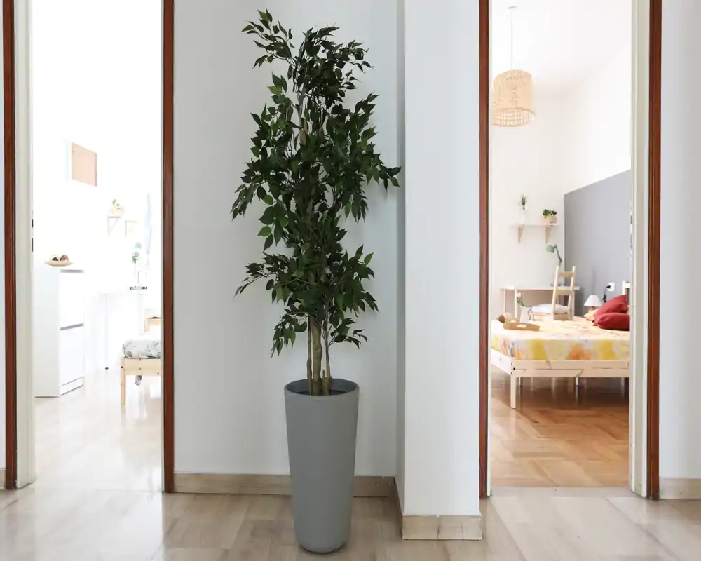 Dormitorio luminoso visible a través de una puerta con cama de madera sencilla, ropa de cama cálida y luz natural; pasillo en primer plano con una planta en maceta decorativa.