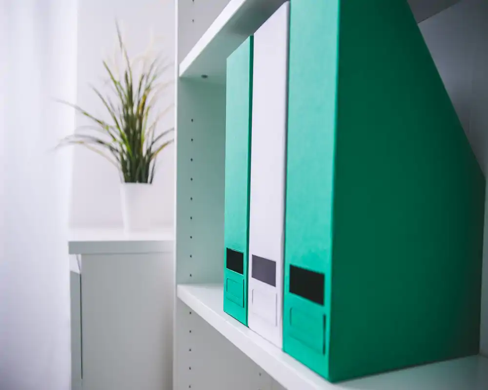 Close-up of a white shelf with green and white magazine/file holders and a small potted plant; the photo focuses on storage accessories rather than a particular room.