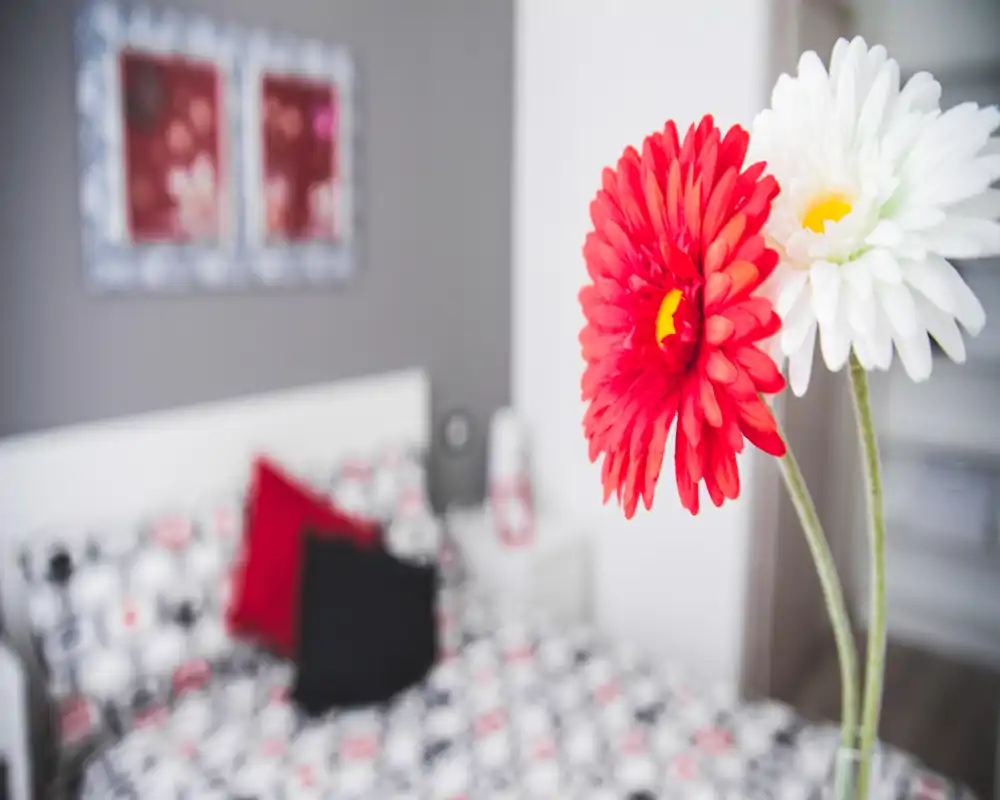 A bright, styled bedroom shot with a sharp floral foreground and a softly blurred bed in the background, featuring patterned bedding and decorative cushions.