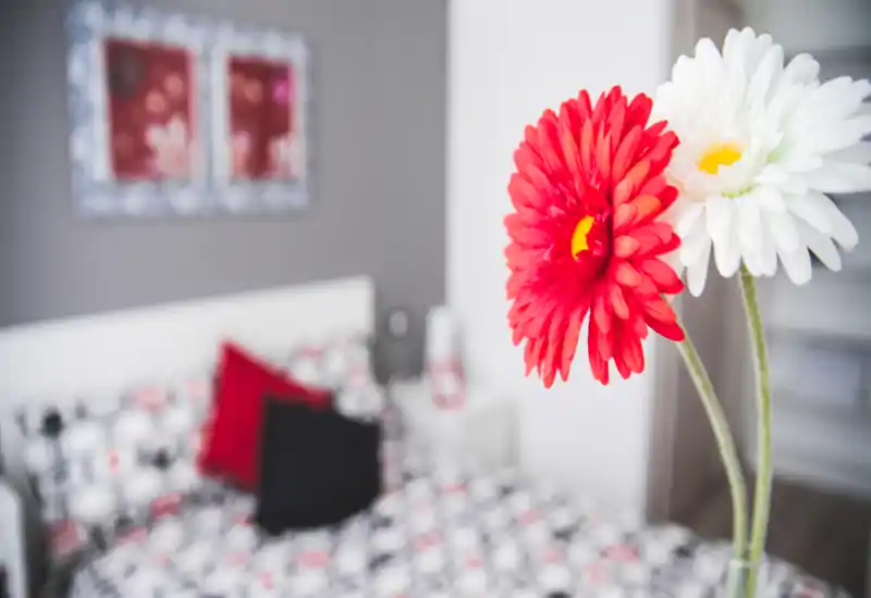 A bright, styled bedroom shot with a sharp floral foreground and a softly blurred bed in the background, featuring patterned bedding and decorative cushions.