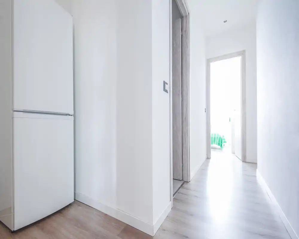 Bright, minimal hallway/entrance with light wood flooring and a white refrigerator visible at the side leading to a sunlit room.