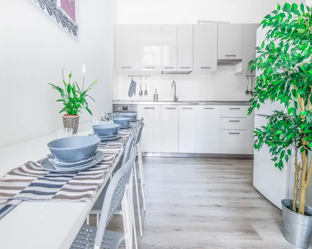 Bright modern kitchen with white cabinetry, a long dining counter set with plates and bowls, and decorative plants that create a fresh, welcoming atmosphere.