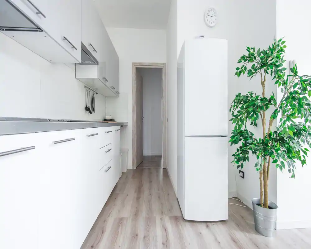 Bright modern galley kitchen with white cabinetry, stainless handles and a freestanding refrigerator; light wood floors and a potted plant add warmth.