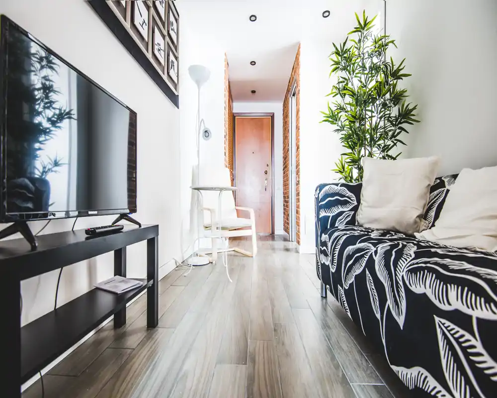 Sala de estar moderna y luminosa con sofá estampado, televisor en mueble bajo y plantas decorativas; líneas limpias y luz natural que crean un ambiente acogedor.