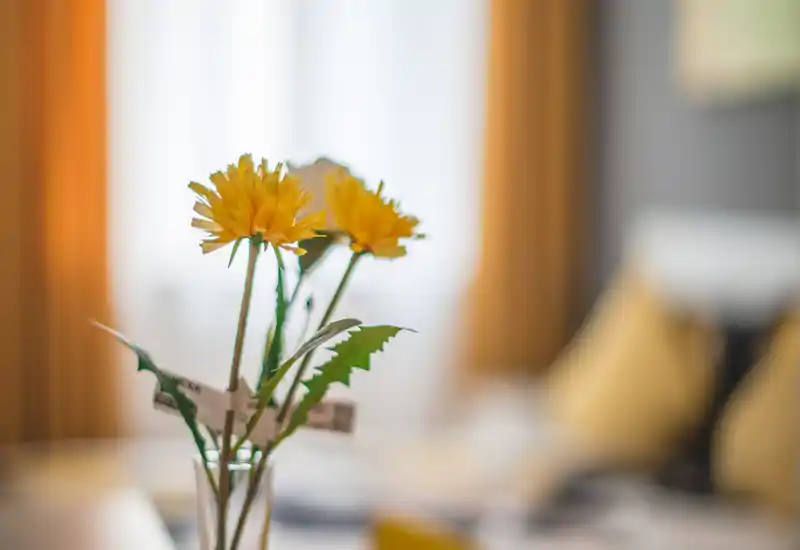 Close-up of a small vase with yellow flowers in front of a softly blurred bed area; warm curtains and cushions create a cozy, sunlit bedroom atmosphere.