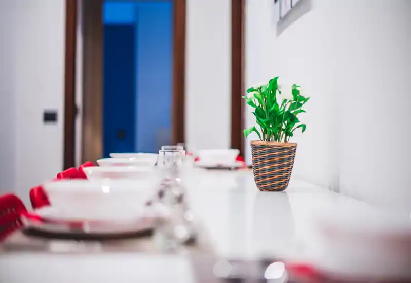 Well-set dining table with white tableware, glasses and a potted plant on a bright surface — contemporary, welcoming dining area.