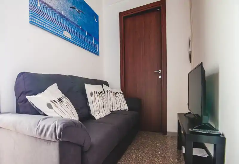 Compact living area with a dark grey sofa, decorative cushions and a wall painting; a small TV on a low stand opposite the couch. Bright, neatly staged space ideal for a one-bedroom apartment listing.