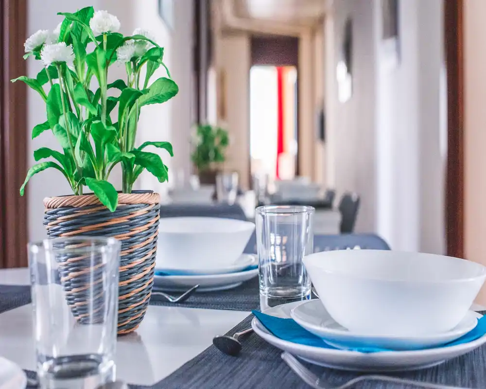 Bright, well-styled dining table set with white dishware, glassware and a decorative potted plant creating an inviting meal setting.