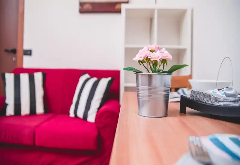 Sala luminosa y con estilo con un sofá rojo, cojines a rayas y una planta decorativa sobre una mesa de madera; el fondo suavemente desenfocado y la estantería ordenada crean un ambiente acogedor y moderno.