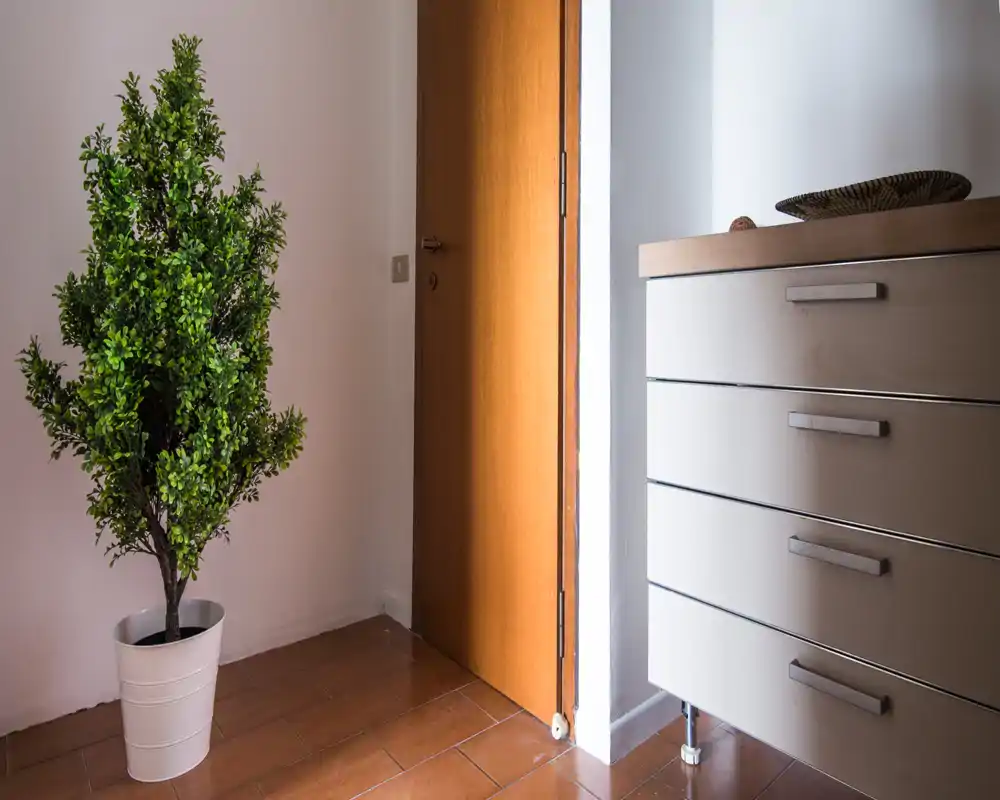 Bright, tidy entrance with a wooden door, tiled floor, a potted decorative plant and a modern chest of drawers—simple and welcoming entry area.