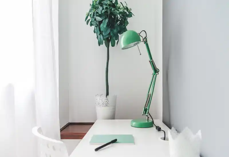 Bright, minimal workspace with a white desk, green adjustable lamp and potted plant — a calm spot for reading or working near natural light.