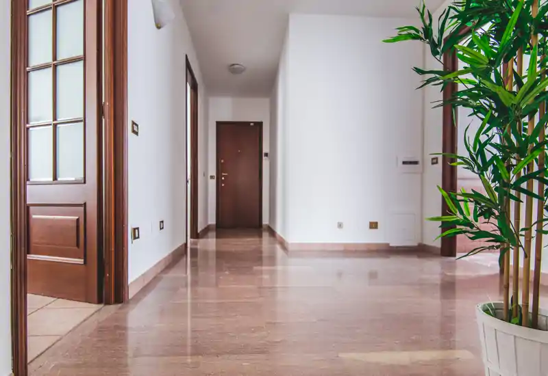 Bright, spacious entrance hallway with polished stone floor, wooden doors and clean white walls — includes a potted plant for a welcoming touch.