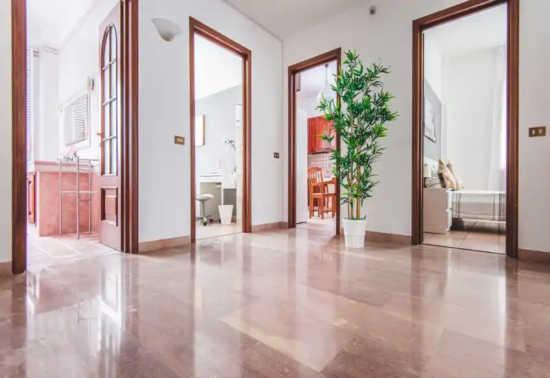 Bright, spacious entrance hall with polished marble floors, three doorways leading to kitchen, bedroom and bathroom, and a decorative potted plant — great first impression for a rental.