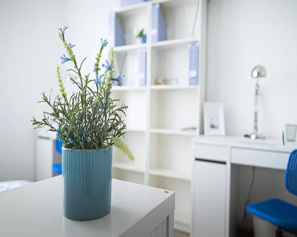 Angolo living luminoso e minimale con una pianta in vaso decorativa su una superficie bianca; sullo sfondo scaffalature e una scrivania che suggeriscono uno spazio ordinato.