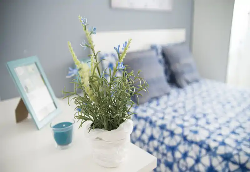 Bright, styled bedroom corner with a patterned blue bedspread and a bedside table featuring a small potted plant and candle; the soft natural light and decorative cushions create a welcoming atmosphere.