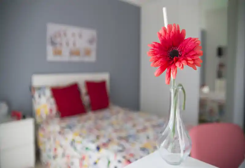 Bright, cozy bedroom with patterned bedding and red accent pillows; a single red flower in a glass vase adds a stylish foreground detail.