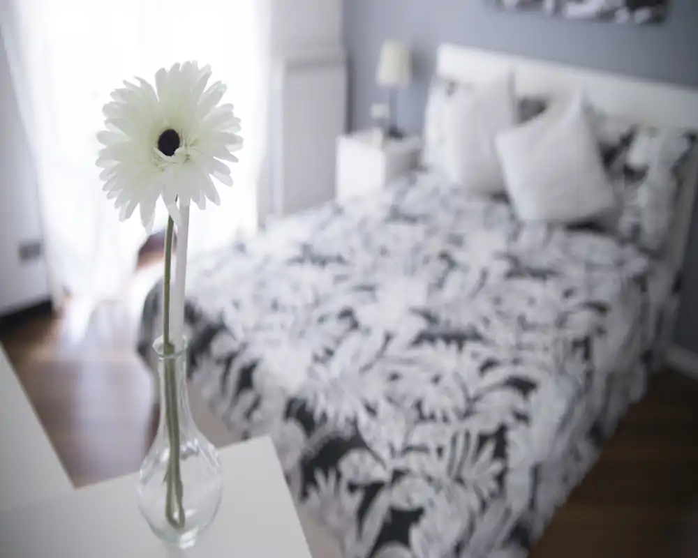 Dormitorio luminoso y decorado con edredón estampado y luz natural suave; una flor en primer plano añade un toque acogedor.