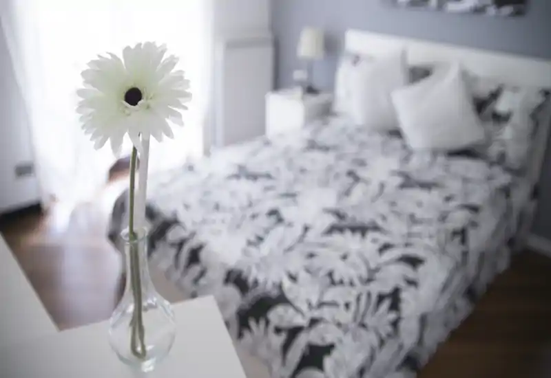 Camera da letto luminosa e curata con una copertura a fantasia, luce naturale soffusa e un fiore decorativo in primo piano che rende l'ambiente accogliente.
