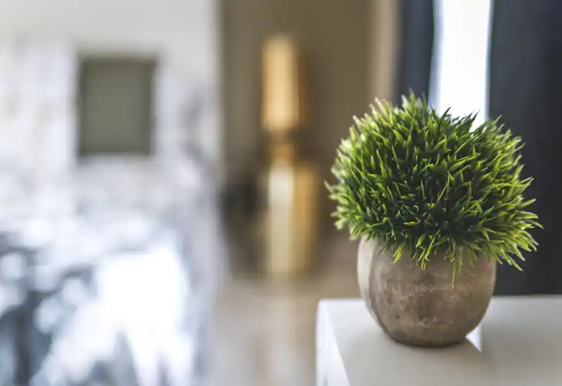 Angolo di una camera da letto con una pianta in vaso nitida in primo piano e il letto sfocato sullo sfondo, atmosfera accogliente e curata.