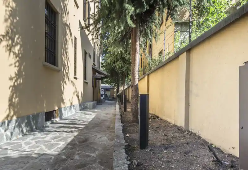 Sunny narrow exterior walkway beside a building with stone paving, a planted strip with trees and a boundary wall — suitable for describing a private side path or small courtyard access.