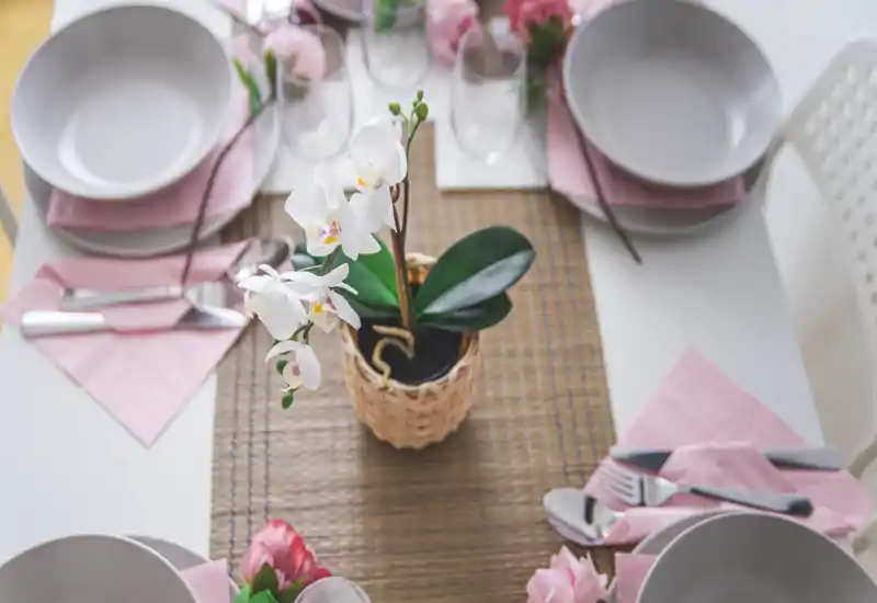 Vue plongeante sur une table dressée avec assiettes, serviettes roses et une orchidée au centre, idéale pour mettre en valeur un coin repas chaleureux.