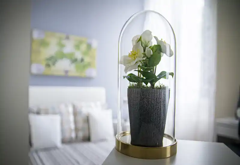 Bright, softly styled bedroom with a decorative glass-cloche plant in the foreground and a neatly made bed with pillows in the background — ideal for cozy rental listings.