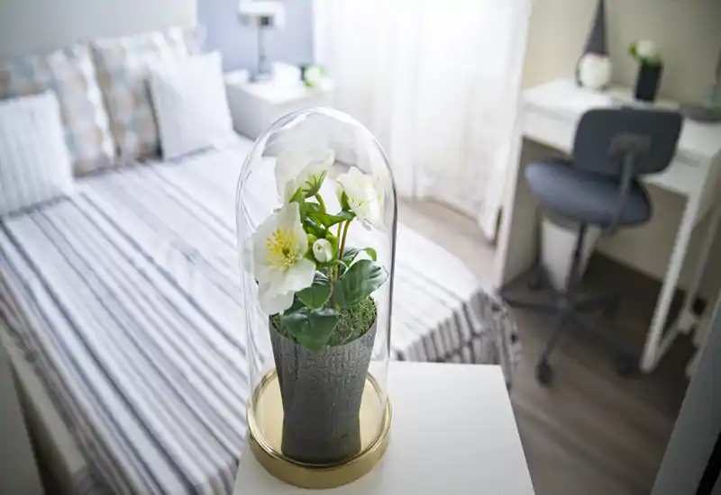 Bright, well-styled small bedroom with striped bedding, decorative pillows and a desk in the corner; a potted floral ornament sits in the foreground on a bedside surface.