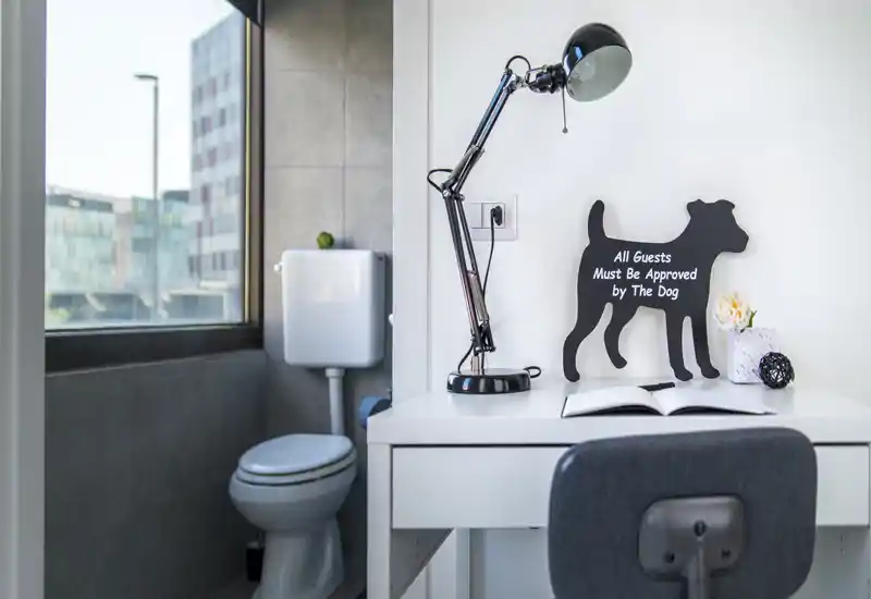 Angolo della stanza con scrivania e lampada accanto a un bagno interno; stile moderno e luminoso con elementi decorativi che rendono lo spazio funzionale e accogliente.